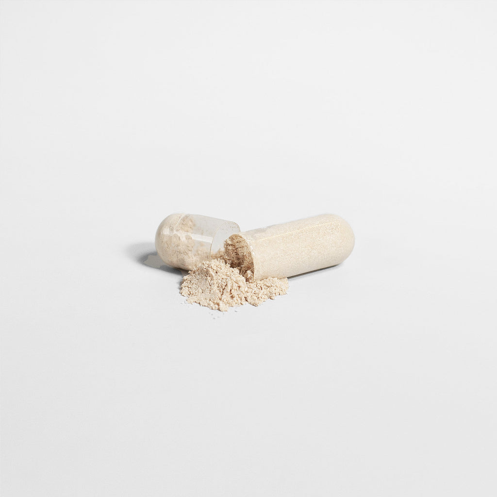 Alpha Focus Nootropic Formula